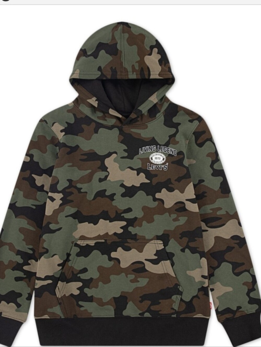 Levi's Kids Camo Hooded Sweatshirt in Green, Brown & Black. NWT